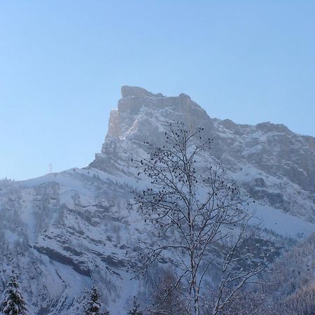 Chalet des Cascades Sixt Extérieur photo