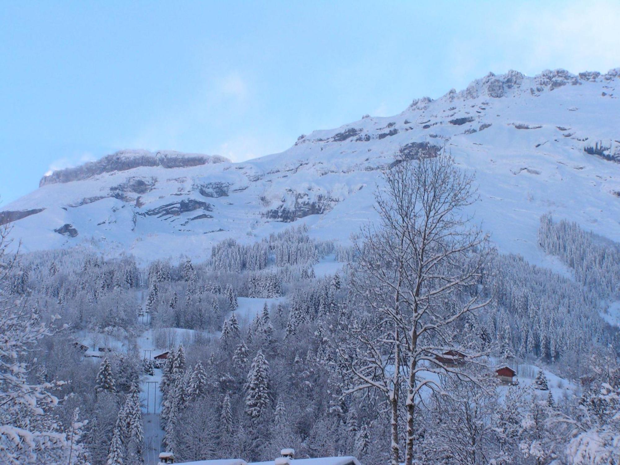 Chalet des Cascades Sixt Extérieur photo