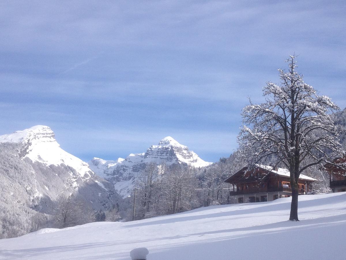 Chalet des Cascades Sixt Extérieur photo